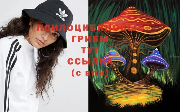 a pvp Мегион