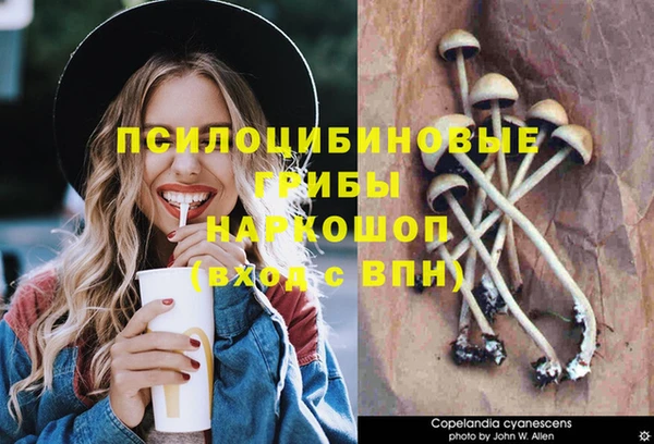 мдма Медногорск