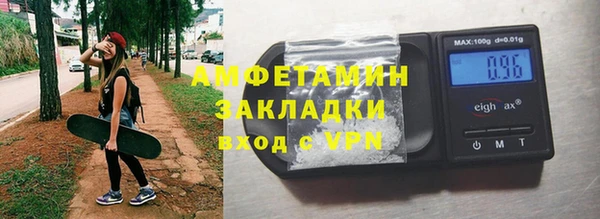 твердый Бердск